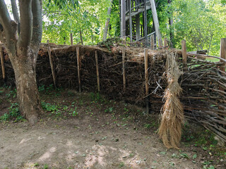 hedge as a natural garden fence