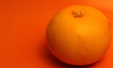 Grapefruit with Orange Background and rule of third