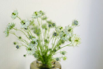 a bouquet of daisies in a glass vase stands on a table on a white background, depth of field, side effect, defocus, macrophotography, bokeh