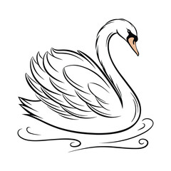 swan on the water line art vector