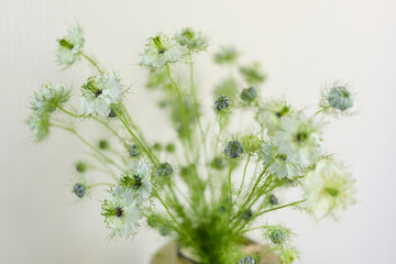 a bouquet of daisies in a glass vase stands on a table on a white background, depth of field, side effect, defocus, macrophotography, bokeh