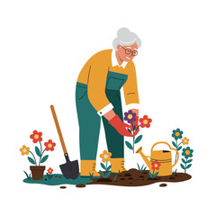 Fototapeta premium Active elderly gardening while planting flowers in the yard 