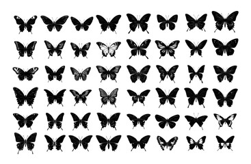 Butterflies black ink sketch vector set. Soaring winged motley moths beetles wing insects, monochrome grayscale illustrations isolated on white background