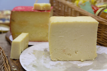 Craft cheese for sale at a farmer's market