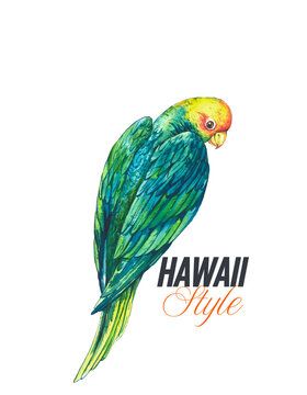 HAWAII STYLE 