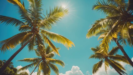 Tropical palm trees under a bright sun with a clear blue sky. Summer, nature, and relaxation theme. Bright and sunny day with lush greenery.