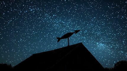 Weather vane silhouette on a barn roof pointing against a star-filled night sky, clean contrast