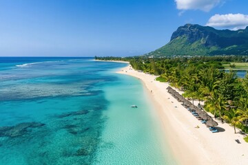 Obraz premium Tropical paradise in Mauritius featuring pristine sandy beach and swaying palm trees under bright blue skies, Tropical beach in Mauritius Sandy beach with palms and blue background ocean Aerial view