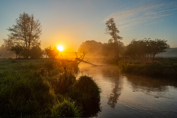 Serene Sunrise Over Tranquil Stream