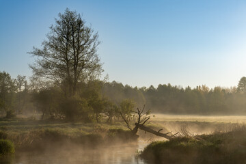 Misty Sunrise Over Scenic River