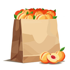Paper bag full of healthy and juicy red peaches isolated on white background. Vector fruit illustration in flat style. Summer clipart for diet design, healthy lifestyle, nutrition