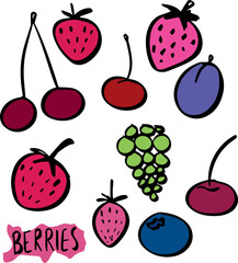 berries strawberry cherry blackberry plum doodle set