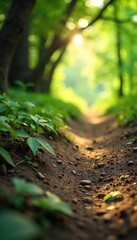 Close-up of footprints in the soft earth next to a network of slender, interwoven branches, sunlight dappling through the leaves overhead A sense of mystery and quiet exploration , nature, walk