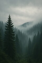 fog in the mountains