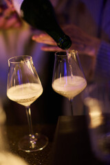 Bartender Serving Sparkling Wine in Elegant Atmosphere