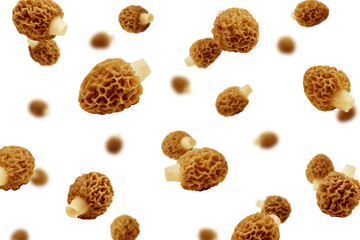 Falling Morel mushroom, Gyromitra isolated on white background, selective focus