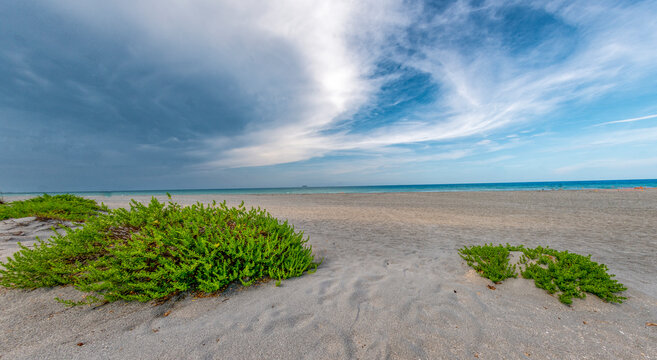 aerial view of beach and dunes blue sky with clouds