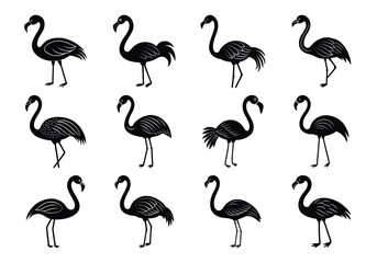 Obraz premium Set of silhouettes of flamingo birds