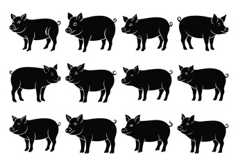 Obraz premium pig animal silhouettes