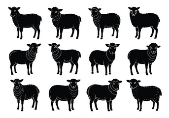 Obraz premium set of silhouettes of sheep