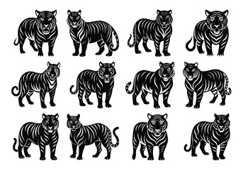 Obraz premium Tigers - wild animals, vector design of tigers isolated on white background