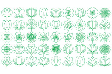 Vector floral design elements: seamless flower pattern illustration with leaves for spring decoration