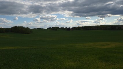 Vast green fields under dramatic clouds in a tranquil rural landscape during the late afternoon
