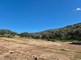 Parque Natural de Sierra Morena, And&uacute;jar - 2025