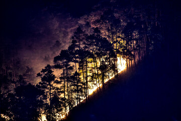 Night shot of a fierce forest fire engulfing trees on a hillside in Meghalaya. 