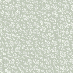 Vector floral seamless pattern. Botanical ornament with simple flower branches, twigs, leaves, seaweeds, corals. Minimal organic background texture. Sage green color. Repeated design for decor, print