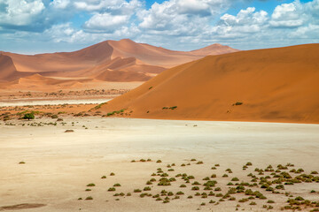 Dunes in the Namib Naukluft National Park, Namibia