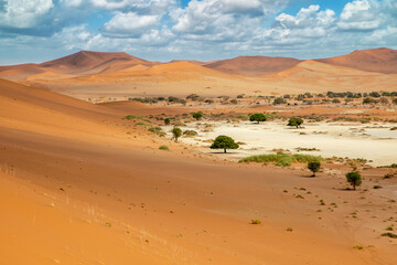 Dunes in the Namib Naukluft National Park, Namibia