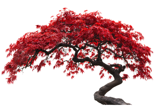 a floating grassy island with rocky outcrops, a lake, and some trees, isolated on a white background, 3D render, fantasy game style4