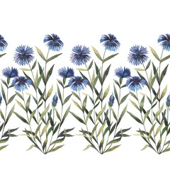 Watercolor hand-drawn seamless floral border with summer flowers, cornflower wildflowers. Perfect for product and web design, cards, invitations, banners