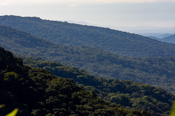 Obraz premium Landscapes of the Yungas, Andean forest, and montane rainforest regions situated along Route 9 between Salta and Jujuy