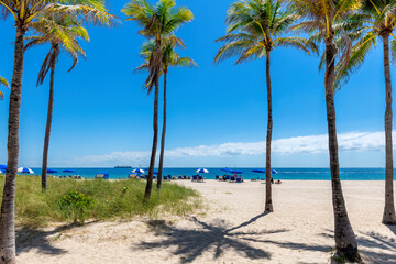 Sunny tropical palm beach with palm trees, beach umbrellas and tropical sea in Miami Beach, Florida