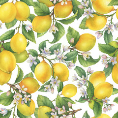 Seamless pattern, wallpaper with fresh citrus yellow lemons fruit. Lemon tree branch with green leaves and flower. Watercolor hand-drawn illustration on white background 