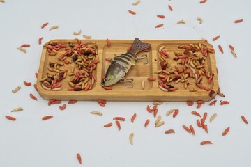 Various live maggot worms and artificial fish bait - fishing tackle concept