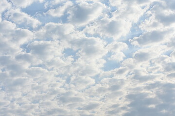 Overhead shot of numerous white, fluffy clouds against a blue sky.