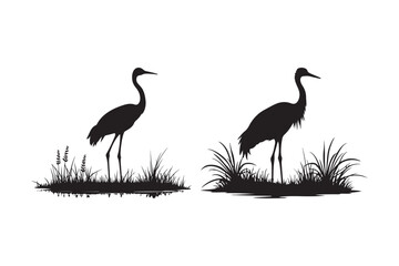 Crane Silhouettes in Grass