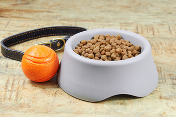Pet care essentials on a wooden surface Gray dog bowl filled with dry kibble, an orange ball toy, and a black leather collar Dog food, pet supplies, animal care