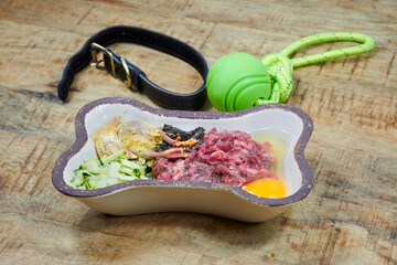 Natural raw dog food in a bone-shaped bowl on a wooden surface featuring fresh meat, egg, vegetables, whole chick. Accompanied by collar and ball toy. Raw feeding BARF diet natural pet nutrition