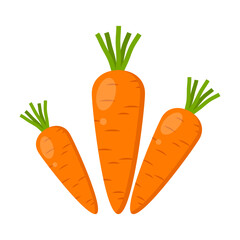Carrot icon vector. Carrot vegetable icon