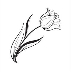 tulip flower silhouette vector