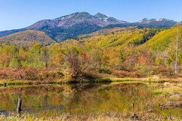 日本の風景・秋　紅葉の乗鞍高原　オソメ池
