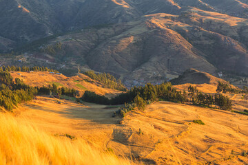 Fields in Peru