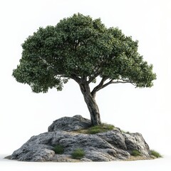 Solitary tree on a rock, 3D rendering. Ideal for nature, environmental, and ecological designs. Use in websites, print, and more.