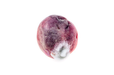 Decaying peach with fungus on skin
