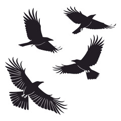 Four Silhouetted Crows in Flight Against a White Background