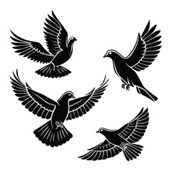 Four Black Silhouette Doves in Flight on a White Background